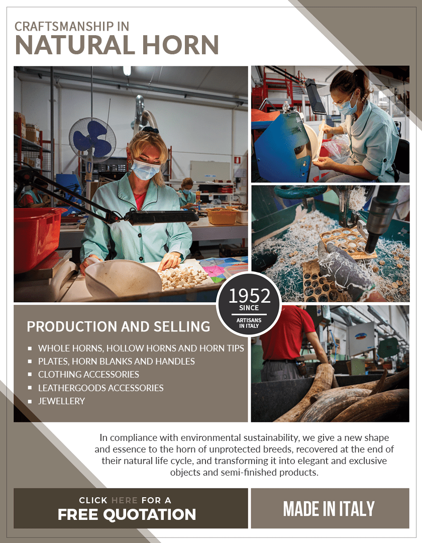 Production of horn accessories for jewellery